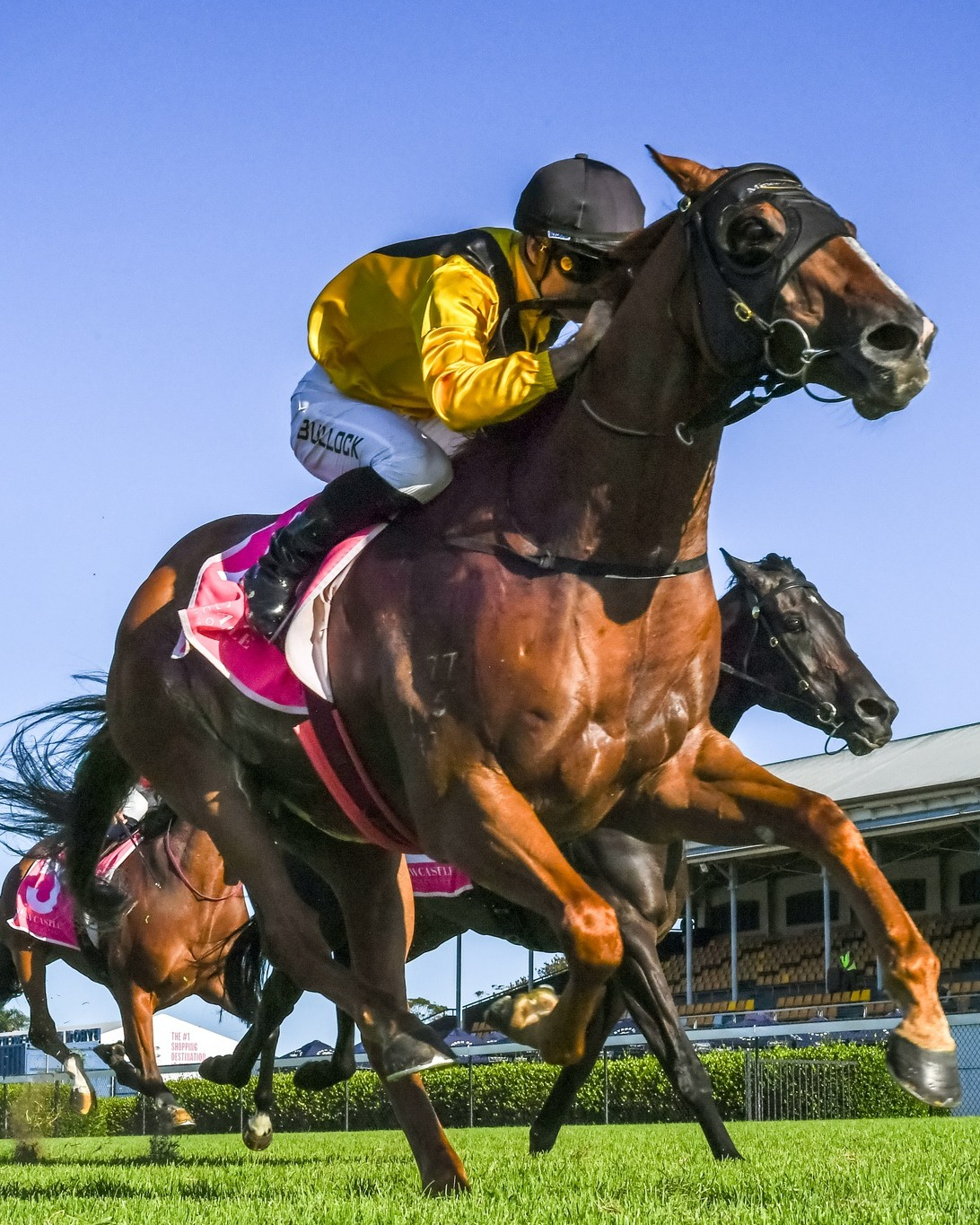 Newcastle Midweek Race Day